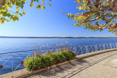 Scenic view of sea against blue sky