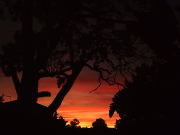 Low angle view of silhouette trees against sky at sunset