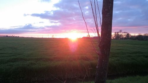 Scenic view of field against sky during sunset