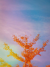 Low angle view of flowering plant against blue sky