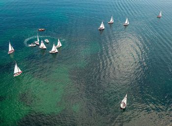 Boat race in sardegna 