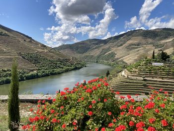 Scenic view of river by mountains against sky