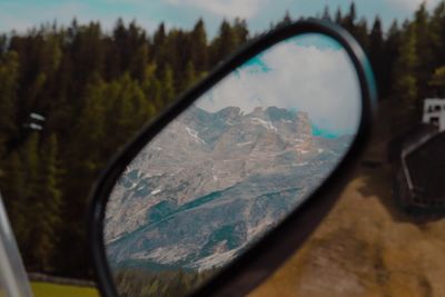 Reflection of trees on side-view mirror