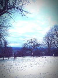 Bare trees on landscape against cloudy sky