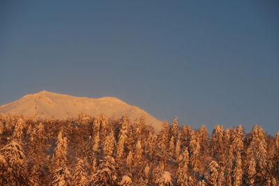 Scenic view of snowcapped mountains against clear sky