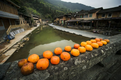 Persimmons drying on stone bridge