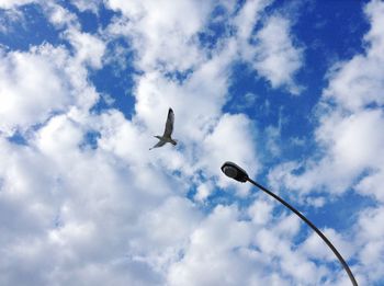 Low angle view of birds flying against sky