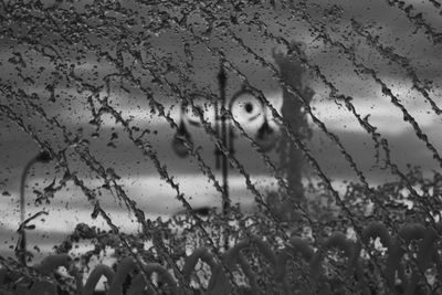 Close-up of wet glass window