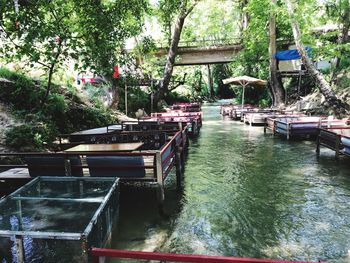 Scenic view of river in forest