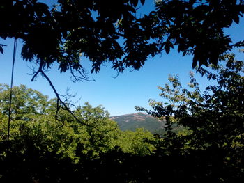 Scenic view of mountains against blue sky