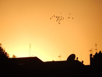 Silhouette birds flying against clear sky during sunset