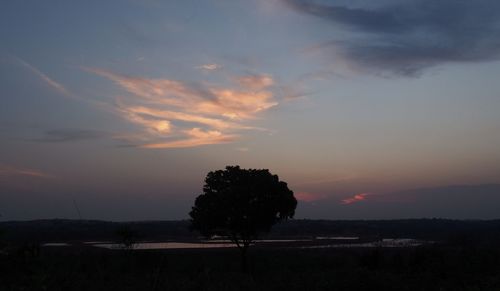 Silhouette trees on landscape against sky at sunset