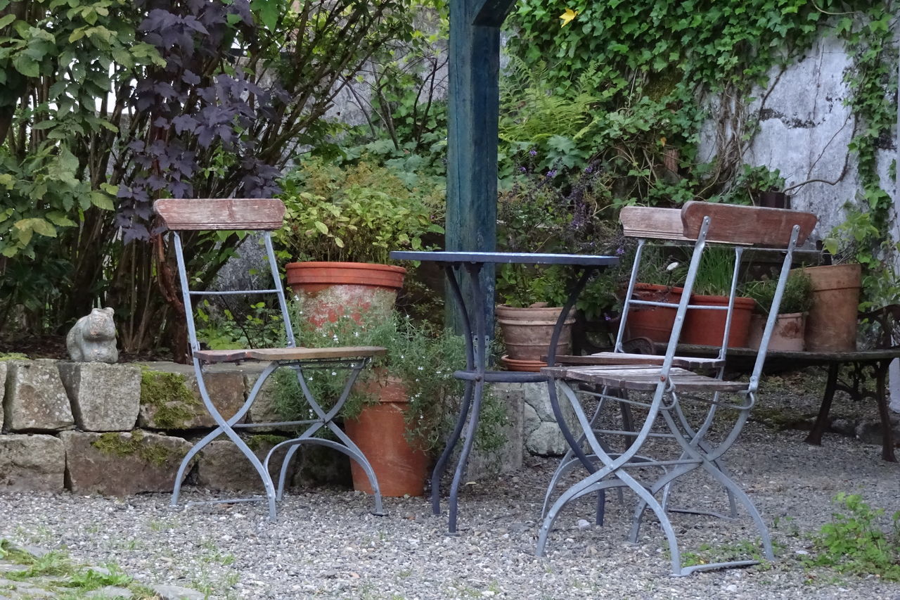 EMPTY CHAIR AND TABLE IN YARD