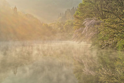 The misty spring scenery of the lake is mysterious.