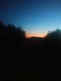 Silhouette trees against sky at night