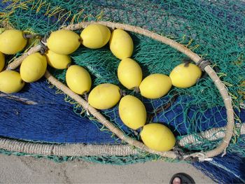 High angle view of fruits in basket