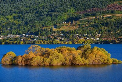 Plants by lake against mountain during autumn