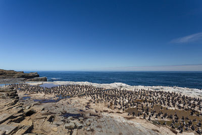 Scenic view of sea against clear blue sky