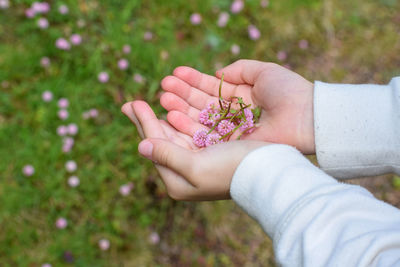 Close-up of hand holding pink flower