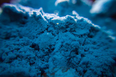 Close-up of snowflakes on snow