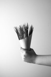 Close-up of hand over white background