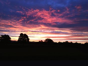 Silhouette trees against sky during sunset