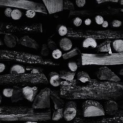 Full frame shot of logs in forest