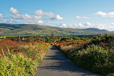 Road amidst field against sky