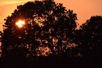 Low angle view of silhouette trees against sky during sunset