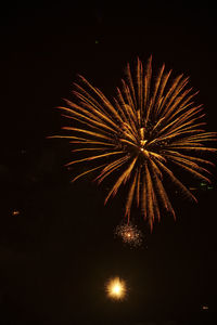 Low angle view of firework display at night