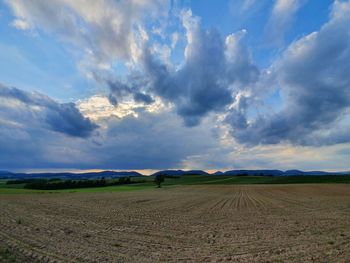 Scenic view of agricultural field against sky