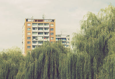 Plants against building