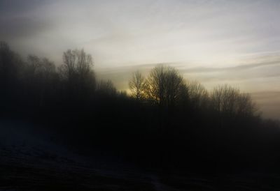 Silhouette trees on landscape against sky during sunset