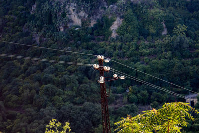 Low angle view of overhead cable car against trees in forest