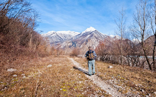 Rear view of backpacker walking on land in forest