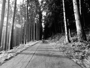 Road amidst trees in forest