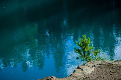 Reflection of trees in lake against blue sky