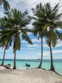 Palm trees on beach against sky