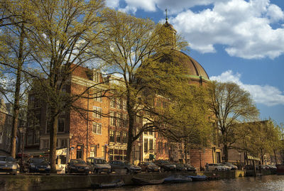 Trees by buildings against sky in city