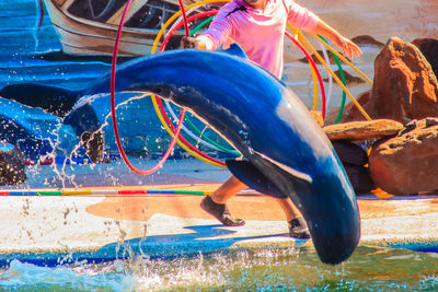 Horse swimming in water