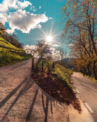 Road amidst trees against sky on sunny day