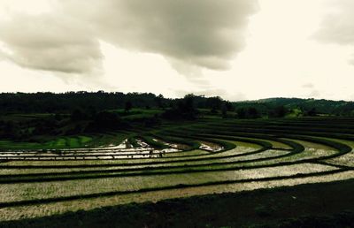 Scenic view of agricultural field against sky