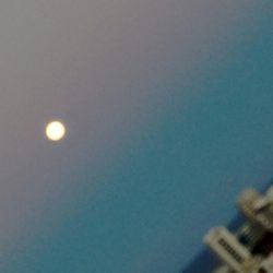 View of moon in sky