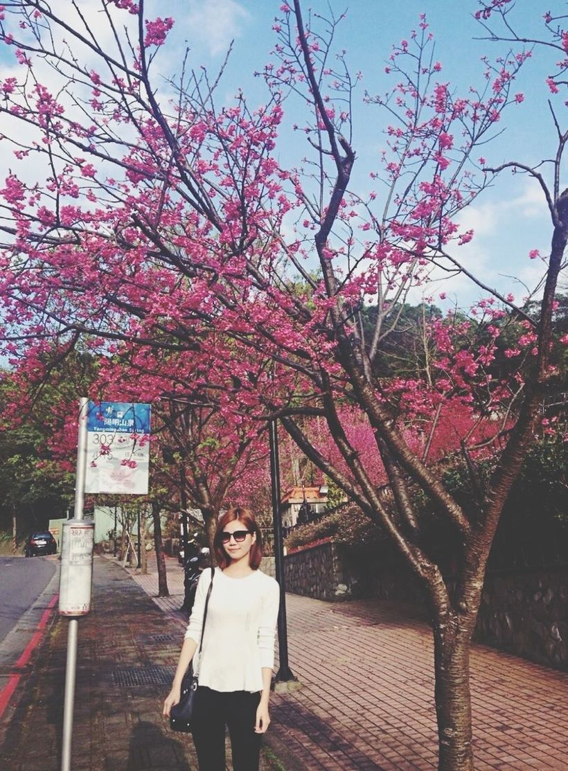 tree, lifestyles, flower, leisure activity, casual clothing, branch, built structure, standing, pink color, full length, railing, sky, person, bare tree, building exterior, day, nature, park - man made space