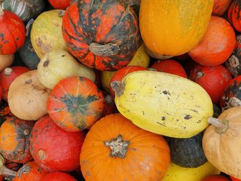 Full frame shot of pumpkins for sale at market