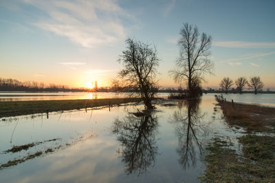 Reflection of trees in lake at sunset