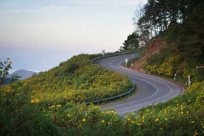 Scenic view of road by trees against sky