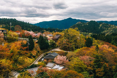 Trees and houses against sky during autumn