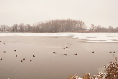 Scenic view of lake against sky during winter