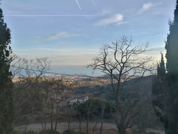 Scenic view of landscape by sea against sky